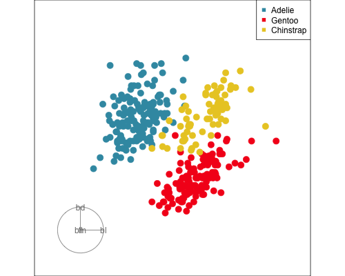 Grand tour showing the 4D penguins data. Points are coloured by species, which reveals three clusters.