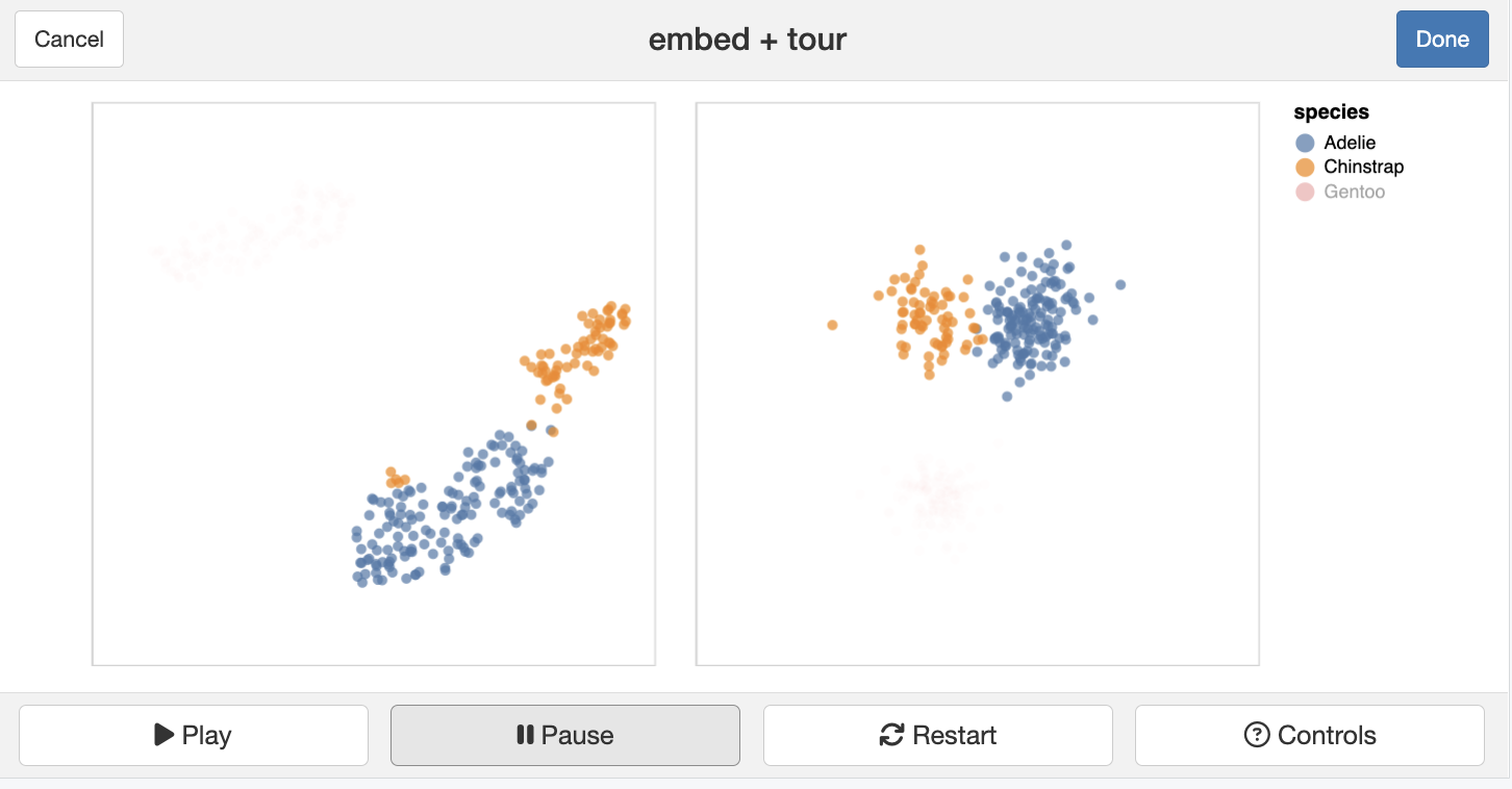Side-by-side plot of t-SNE projection next to a tour, with two groups highlighted.