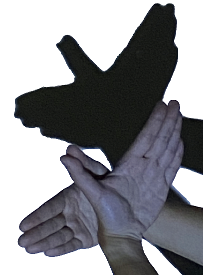 Shadow puppet photo where shadow looks like a bird flying.