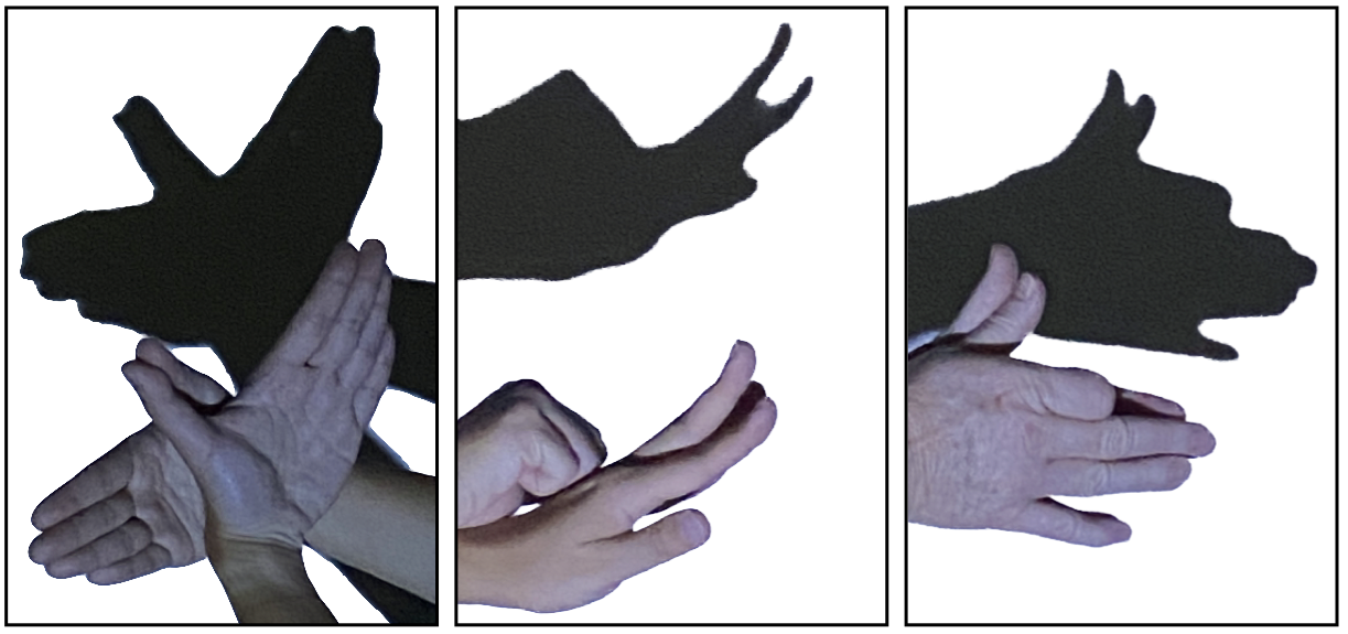Three images, each with a hand or two hands, illustrating making shadows of a bird in flight, snail and dog.